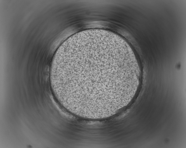 X0000115541233200912181522
