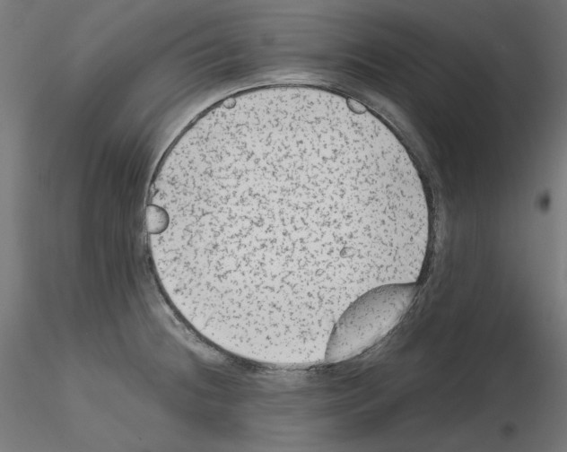 X0000115541236200912181522