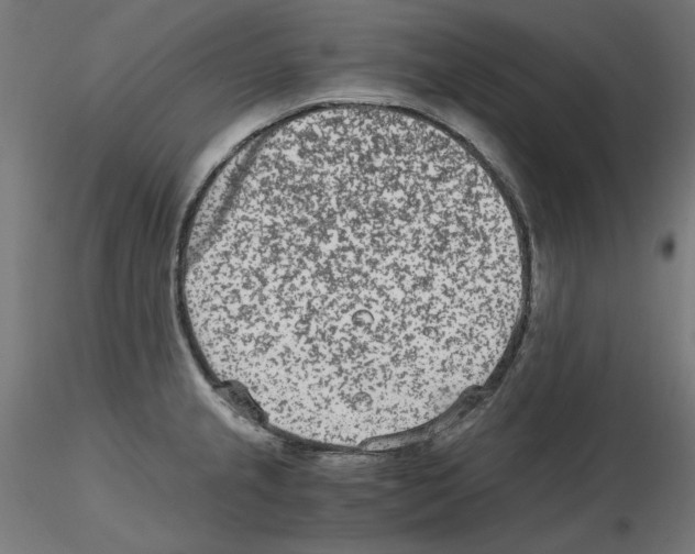 X0000115541237200912181522