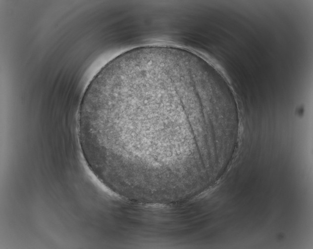 X0000115541239200912181522