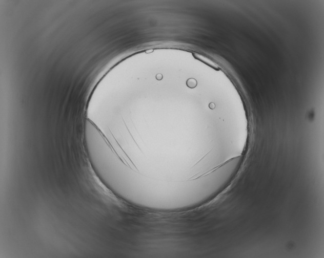 X0000115541244200912181522