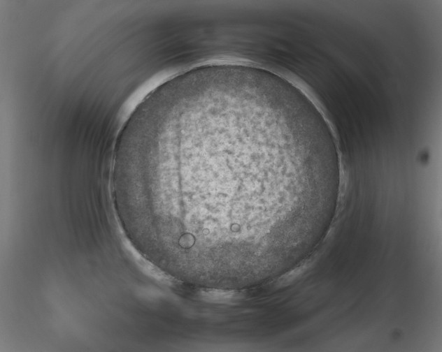 X0000115541245200912181522