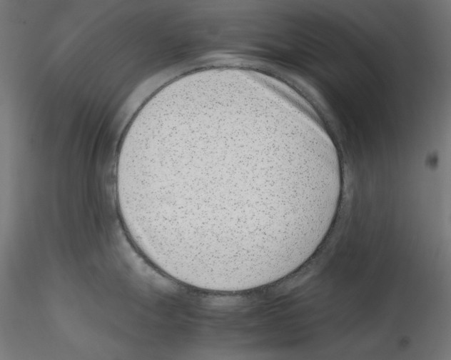 X0000115541247200912181522