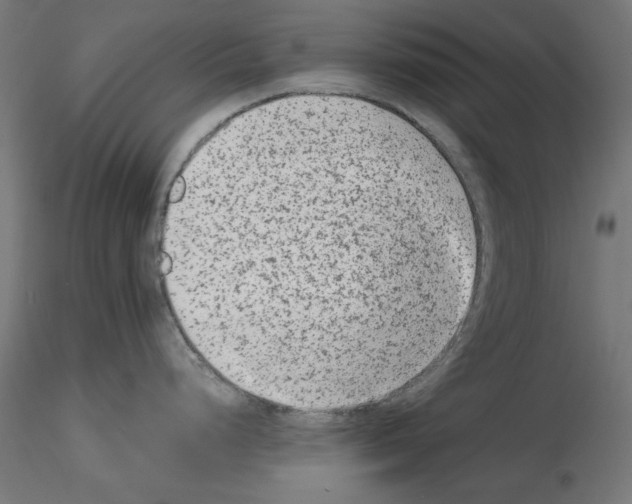 X0000115541248200912181522