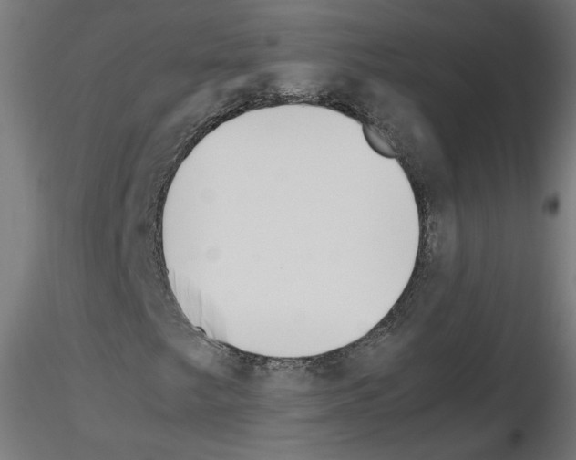 X0000115541249200912181521