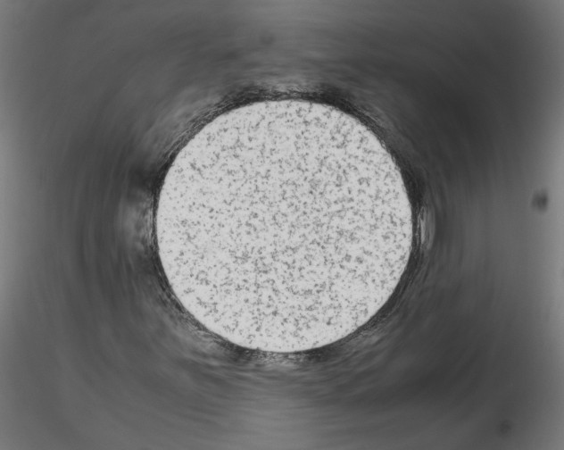 X0000115541251200912181521