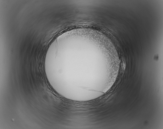 X0000115541252200912181521