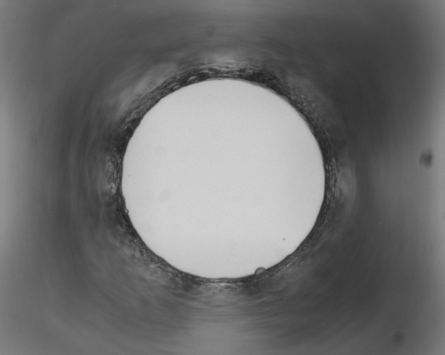 X0000115541253200912181521