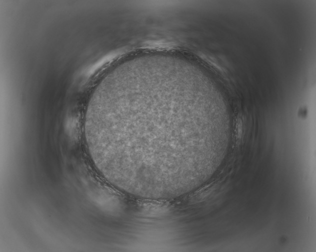 X0000115541254200912181521