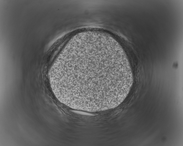 X0000115541255200912181521