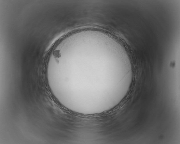 X0000115541256200912181521