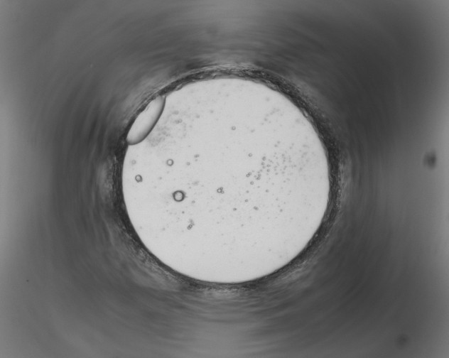 X0000115541257200912181521