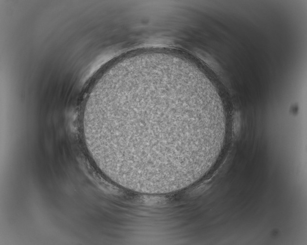 X0000115541258200912181521