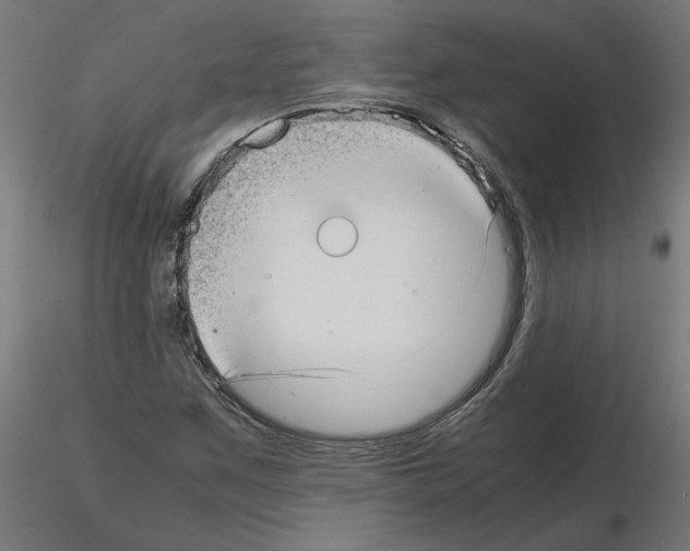 X0000115541259200912181521