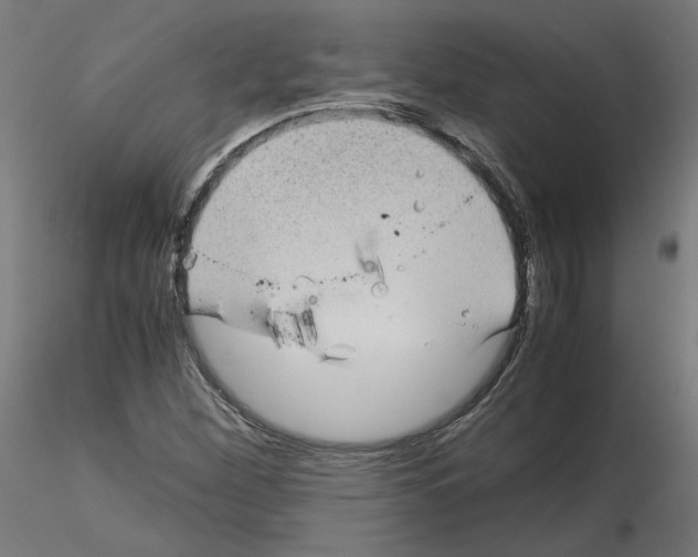 X0000115541260200912181521