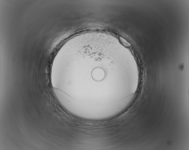 X0000115541261200912181521