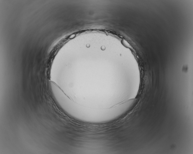 X0000115541262200912181521