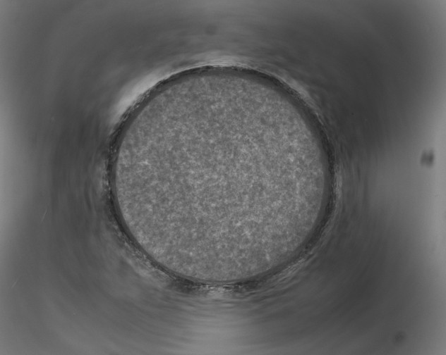 X0000115541263200912181521