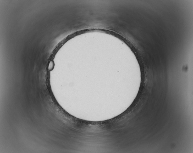 X0000115541264200912181521