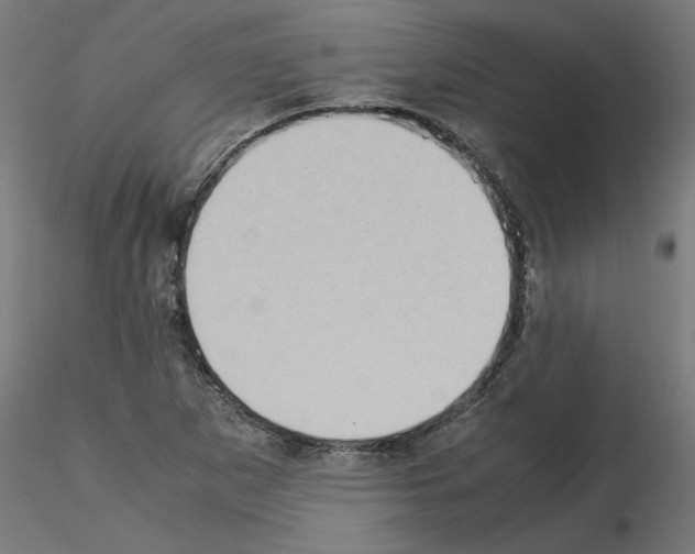 X0000115541265200912181521