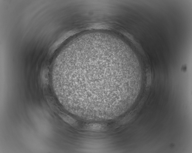 X0000115541266200912181521