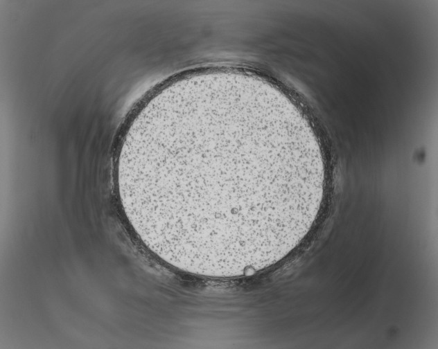 X0000115541267200912181521