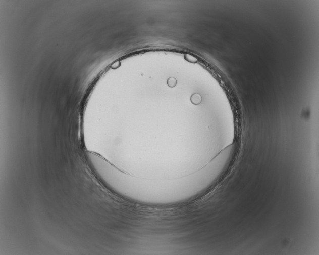 X0000115541269200912181521