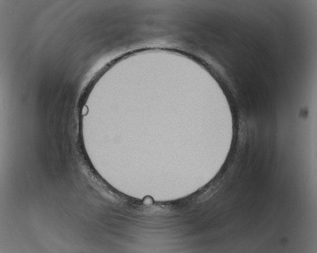 X0000115541270200912181521