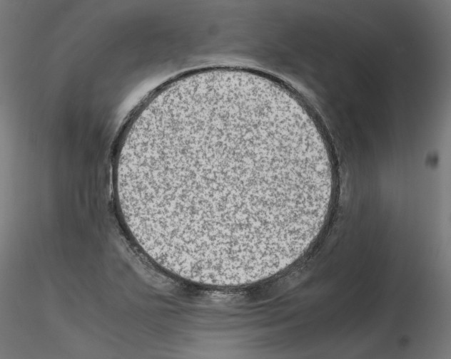 X0000115541271200912181521