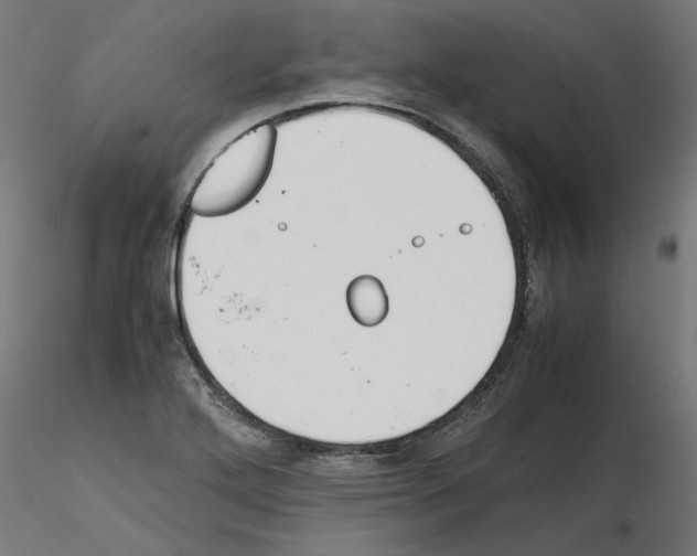 X0000115541272200912181521