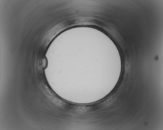 X0000115541273200912181521