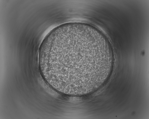 X0000115541275200912181521