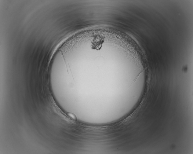 X0000115541276200912181521