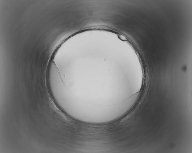 X0000115541277200912181521