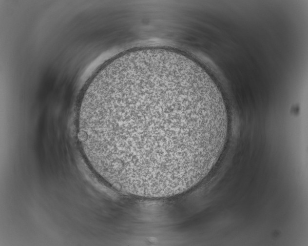 X0000115541278200912181521