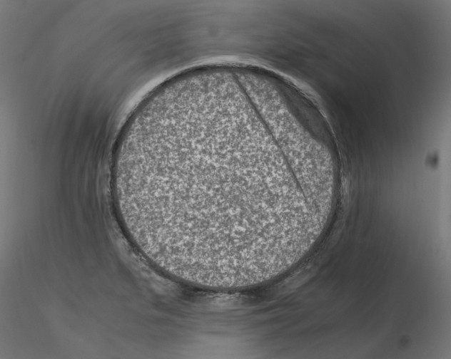 X0000115541279200912181521