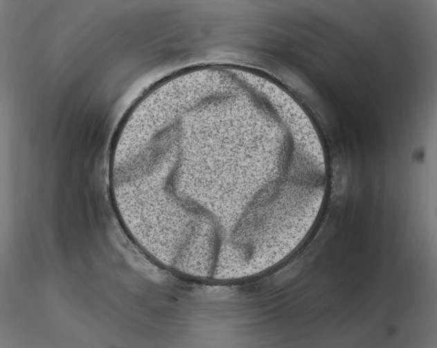 X0000115541280200912181521