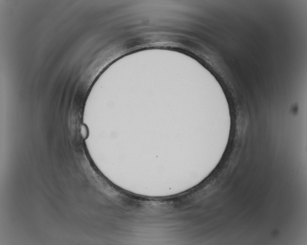 X0000115541281200912181521