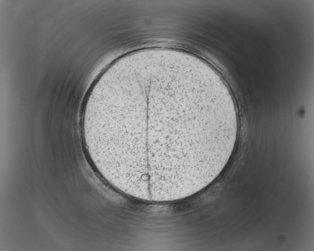 X0000115541283200912181521