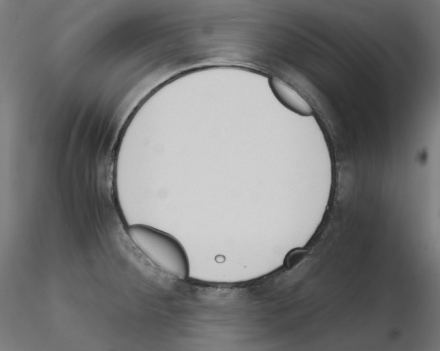 X0000115541284200912181521