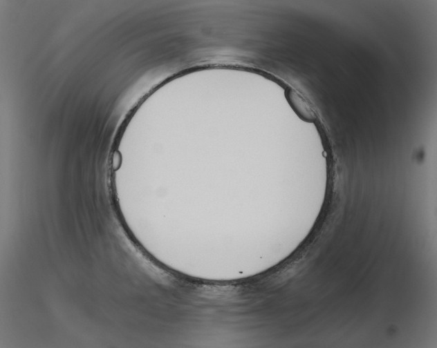 X0000115541285200912181521