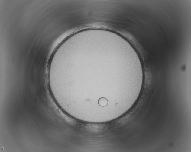 X0000115541286200912181521