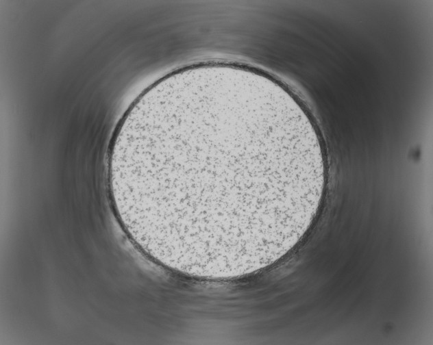 X0000115541287200912181521