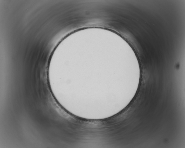 X0000115541288200912181521