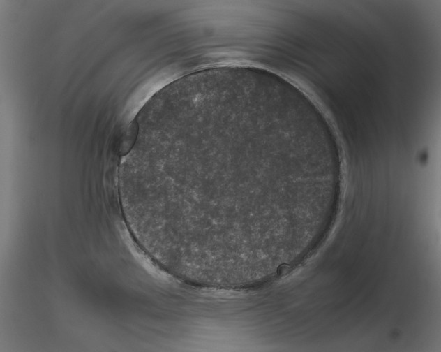 X0000115541289200912181521