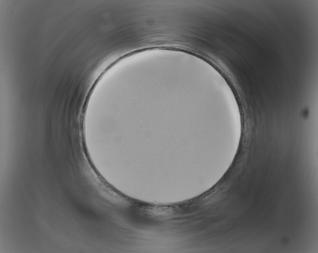 X0000115541291200912181521