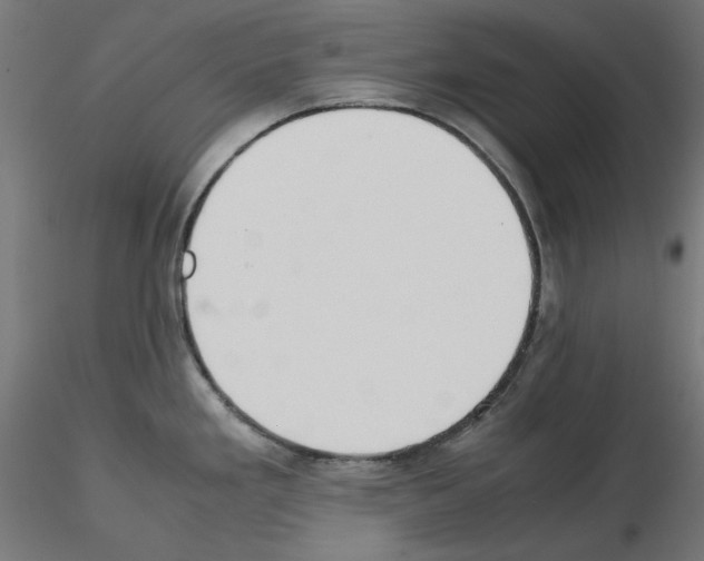 X0000115541293200912181521