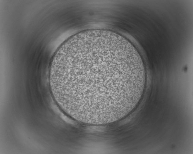 X0000115541294200912181521