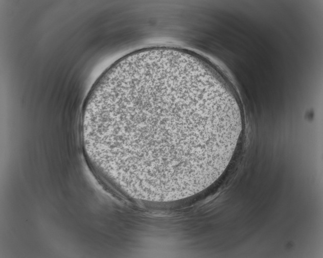 X0000115541295200912181521