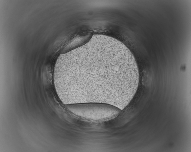 X0000115541298200912181520